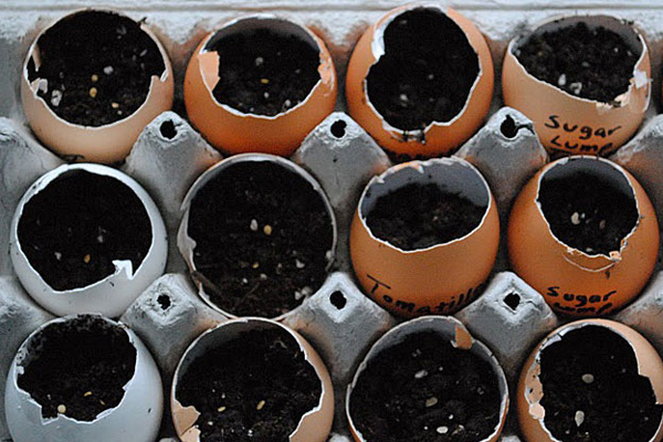 Upcycle Anything Into A Planter