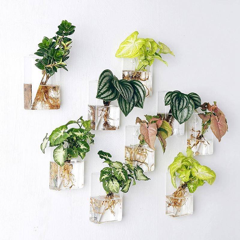 13 Hanging Planter Ideas To Bring Beauty To Any Space
