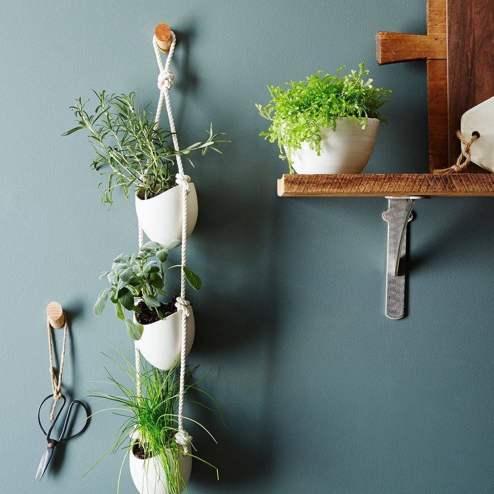 13 Hanging Planter Ideas To Bring Beauty To Any Space