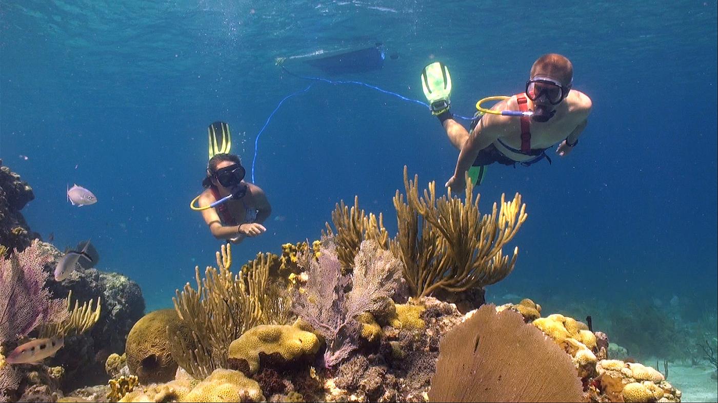 Galveston Island A Great Place To Snorkel DesertDivers