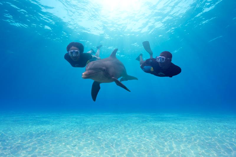 Yes You Can Go Snorkeling At The Atlantis Resort In The Bahamas
