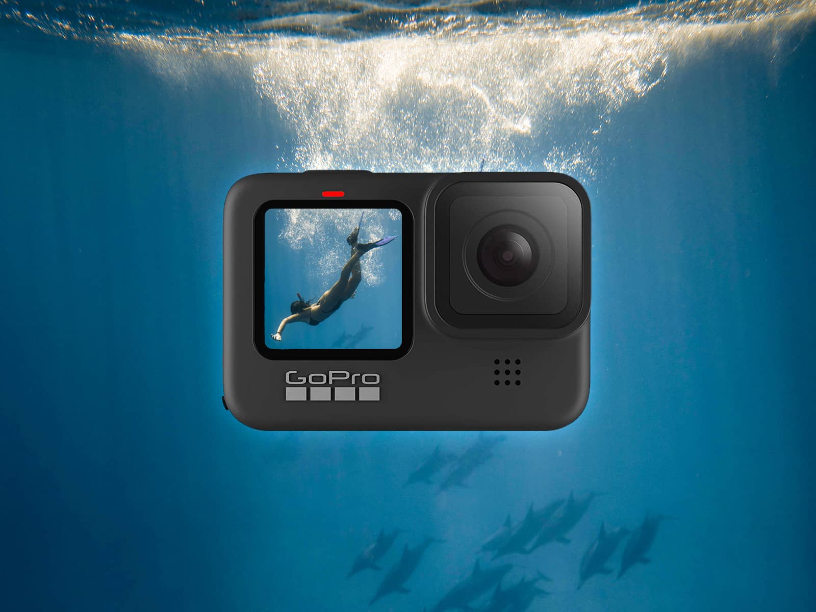 The Best Way To Mount Your GoPro For Snorkeling DesertDivers