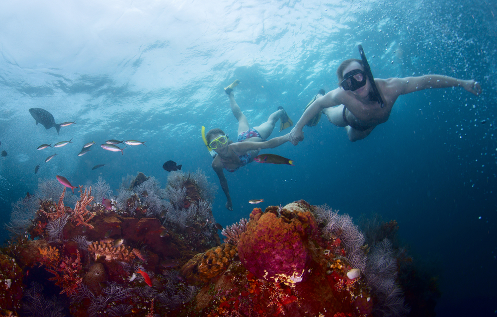 How To Safely Enjoy Snorkeling In Hawaii DesertDivers