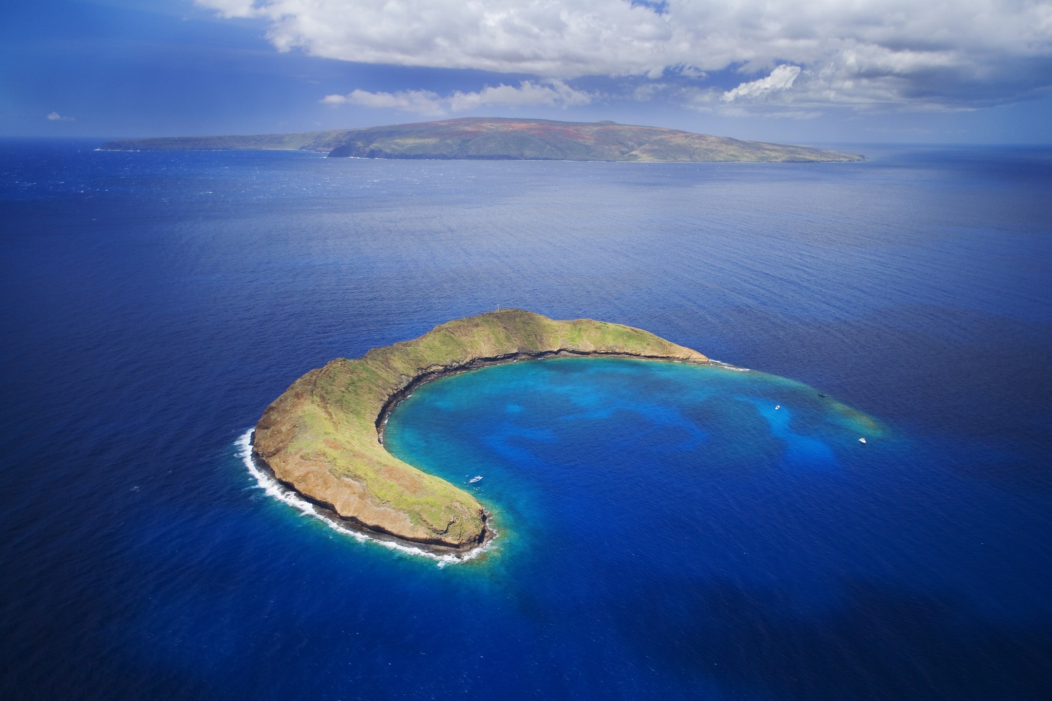 The Best Molokini Snorkel Tours For Every Budget DesertDivers