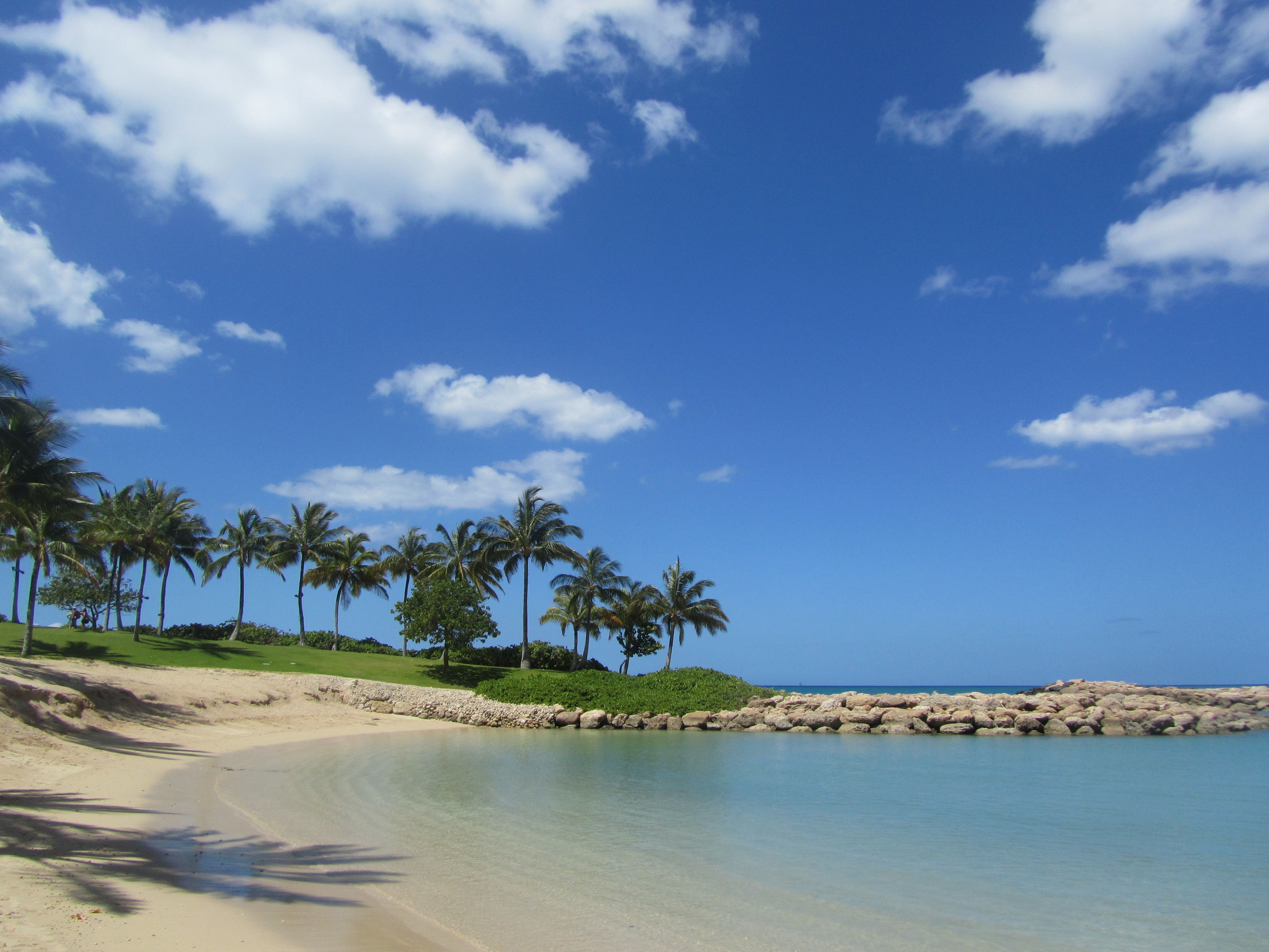 The Best Lagoon For Snorkeling In Ko Olina DesertDivers