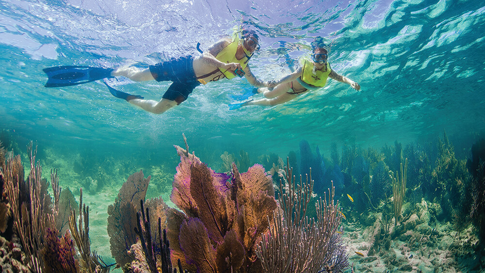 The Best Snorkeling Spots In Daytona Beach DesertDivers