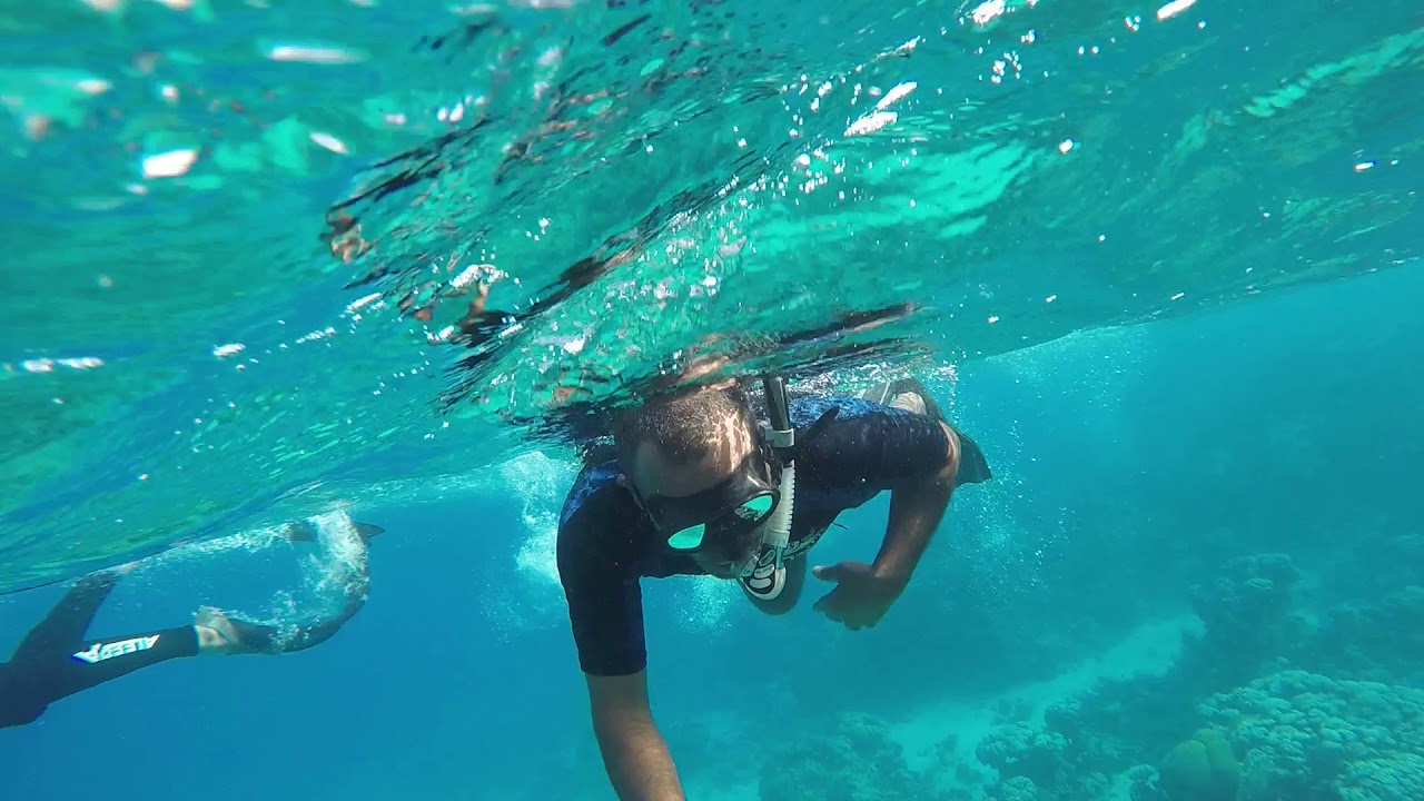 Aqaba The Perfect Place For An Snorkeling Experience