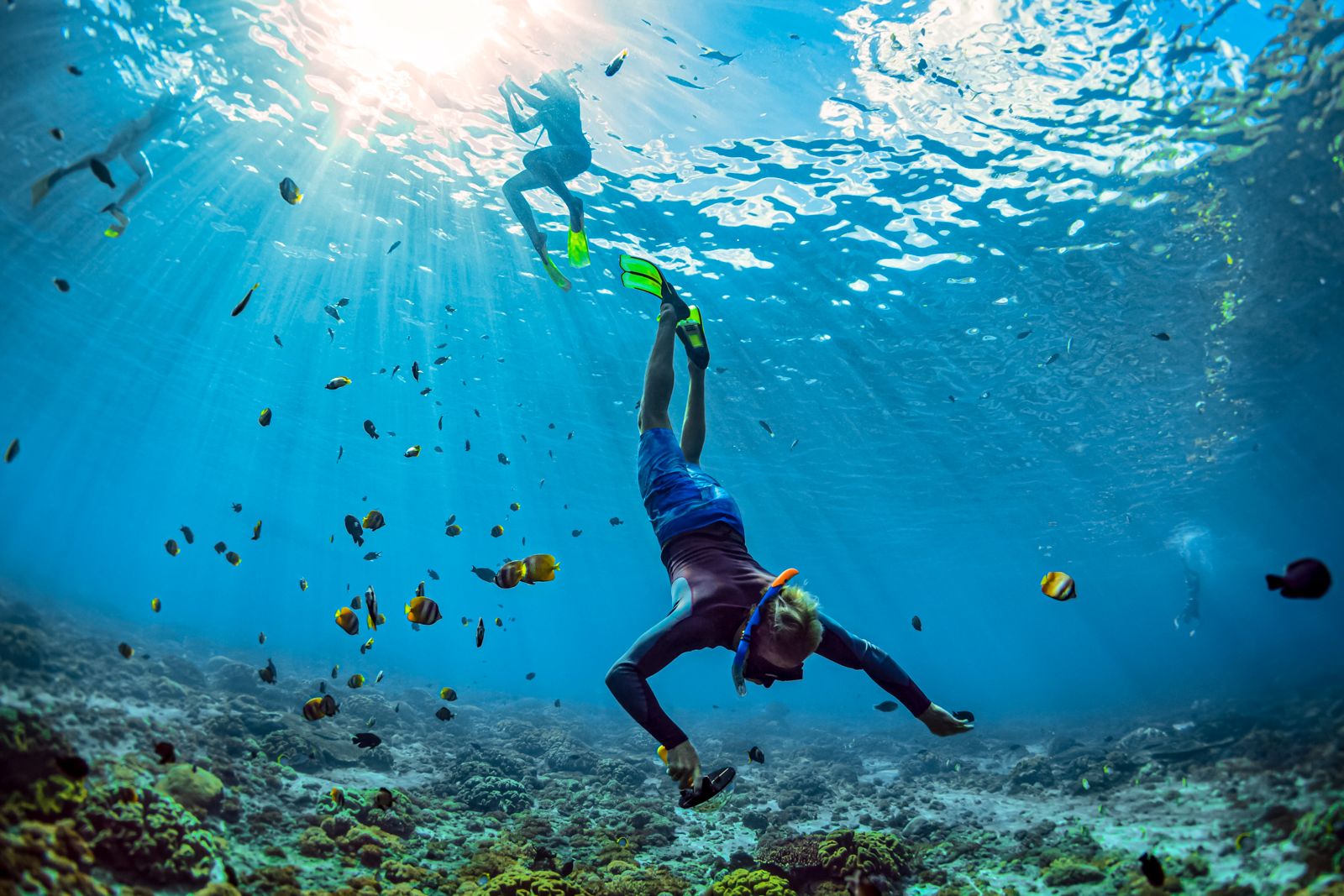 Scuba Diving Vs Snorkeling What’s The Difference? DesertDivers