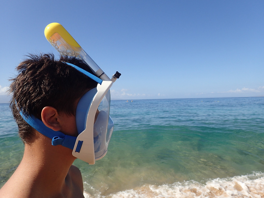 Hawaii’s Ban On Full Face Snorkel Masks DesertDivers