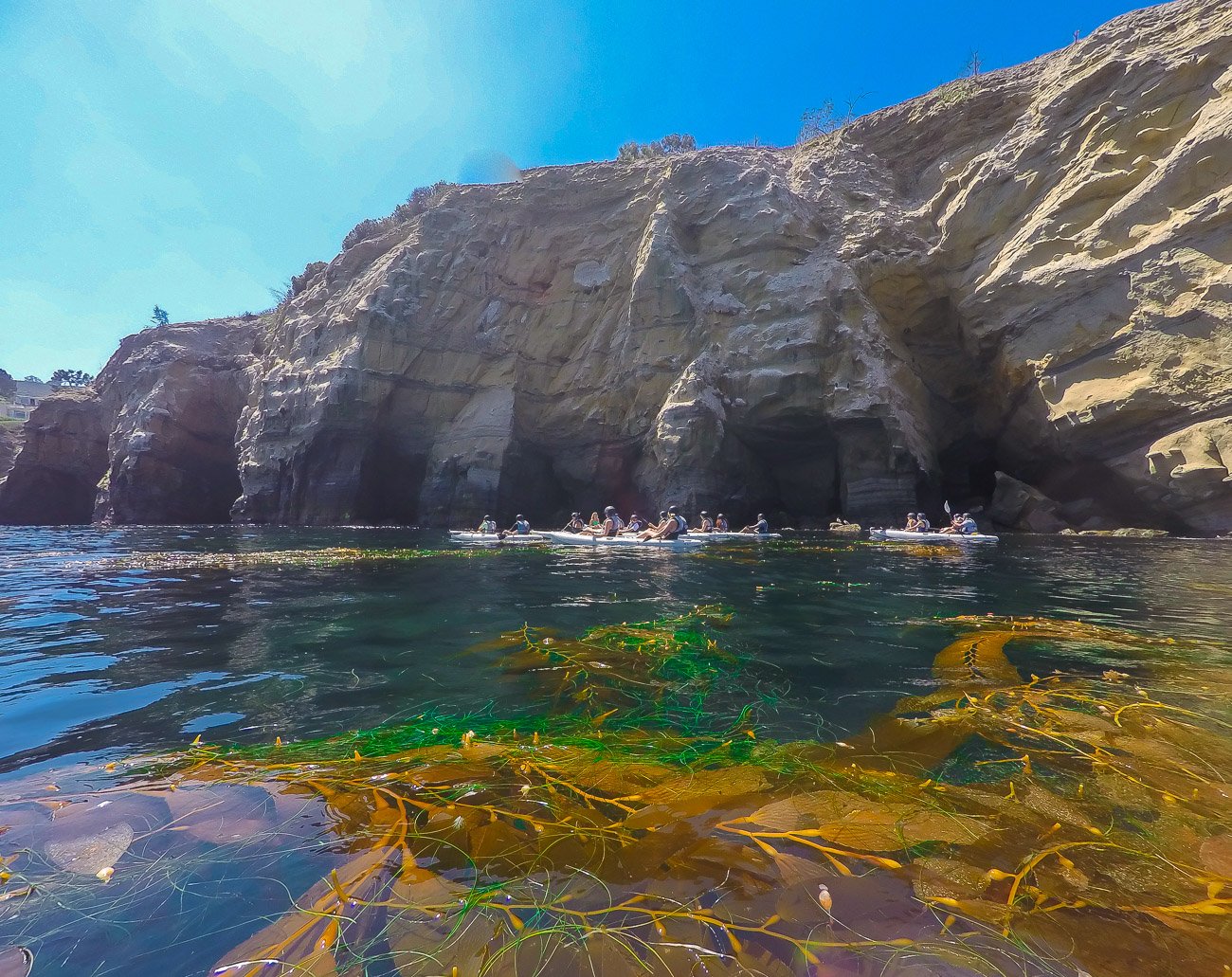 Cave Snorkeling At La Jolla An Amazing Experience DesertDivers