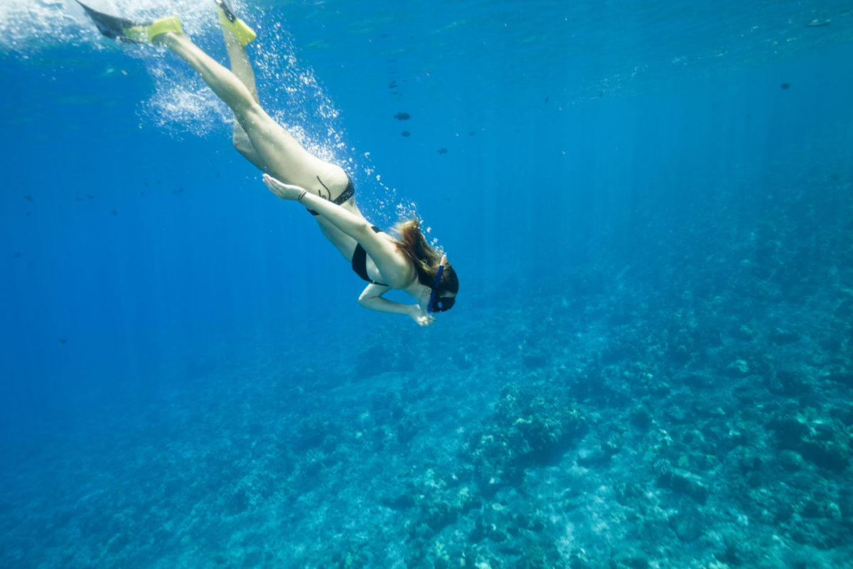 3 Tips For Snorkeling In Windy Conditions DesertDivers