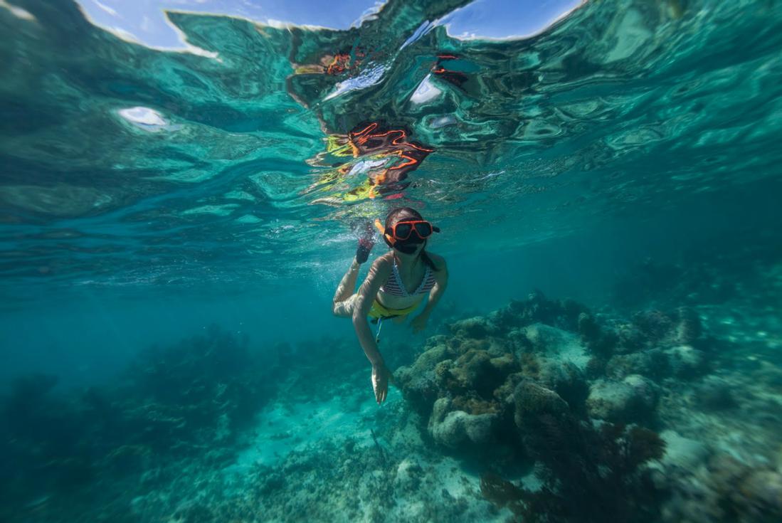 Snorkeling In Antigua The Best Sites & Tours DesertDivers