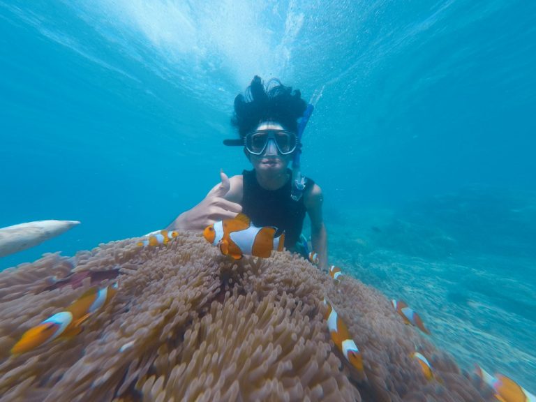 The Best Snorkeling Spots In Puerto Rico DesertDivers