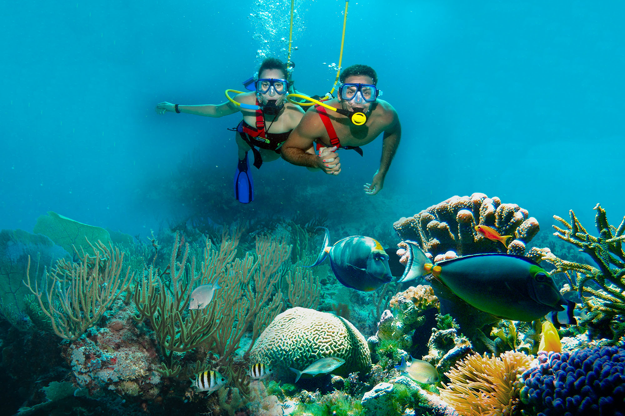 Snorkeling Spots On Isla Mujeres DesertDivers