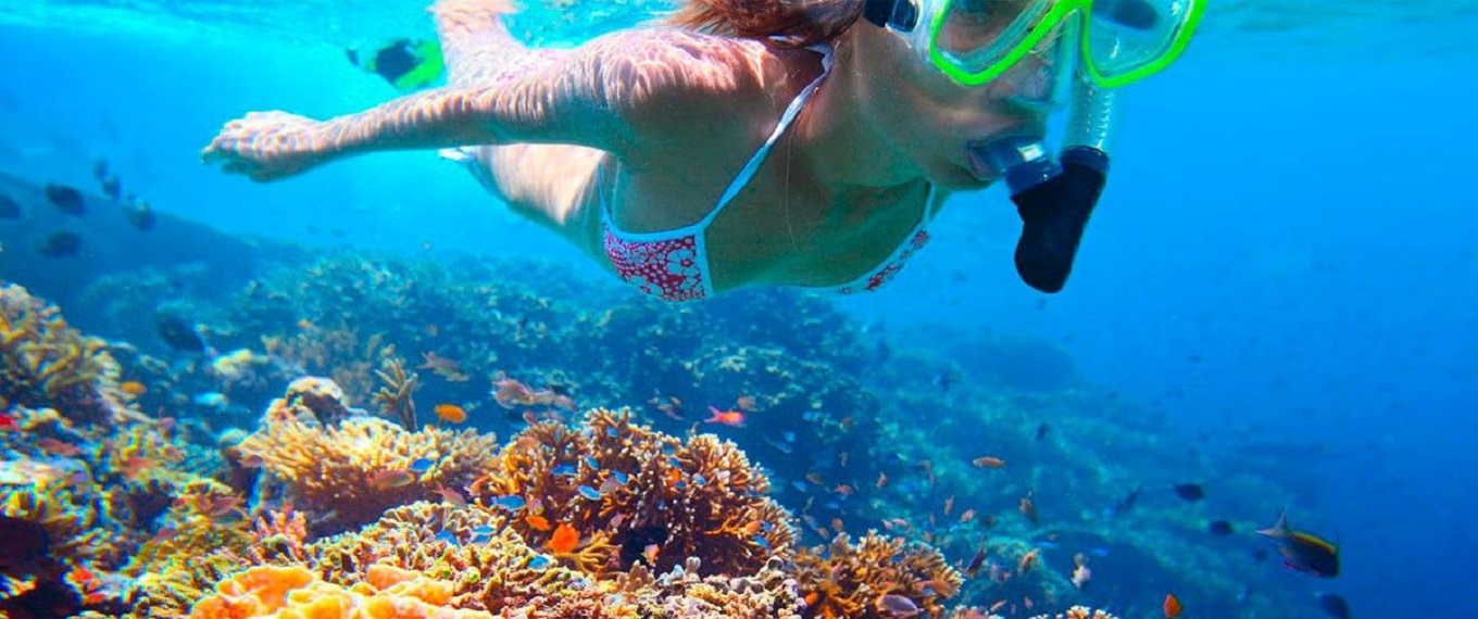 The Best Places To Snorkel In Tampa Bay DesertDivers