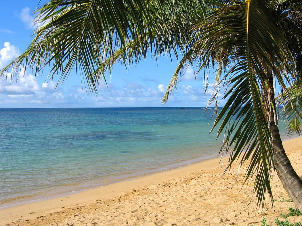 Anini Beach The Perfect Place To Snorkel DesertDivers