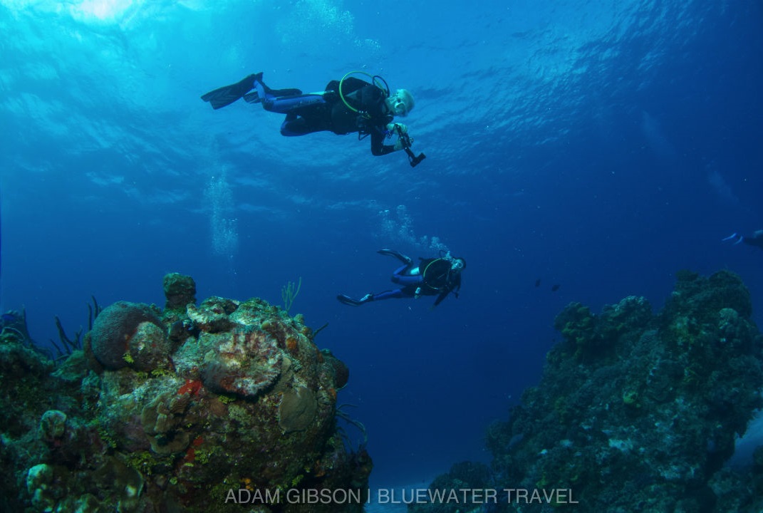 Snorkeling In Cozumel The Ultimate Guide DesertDivers