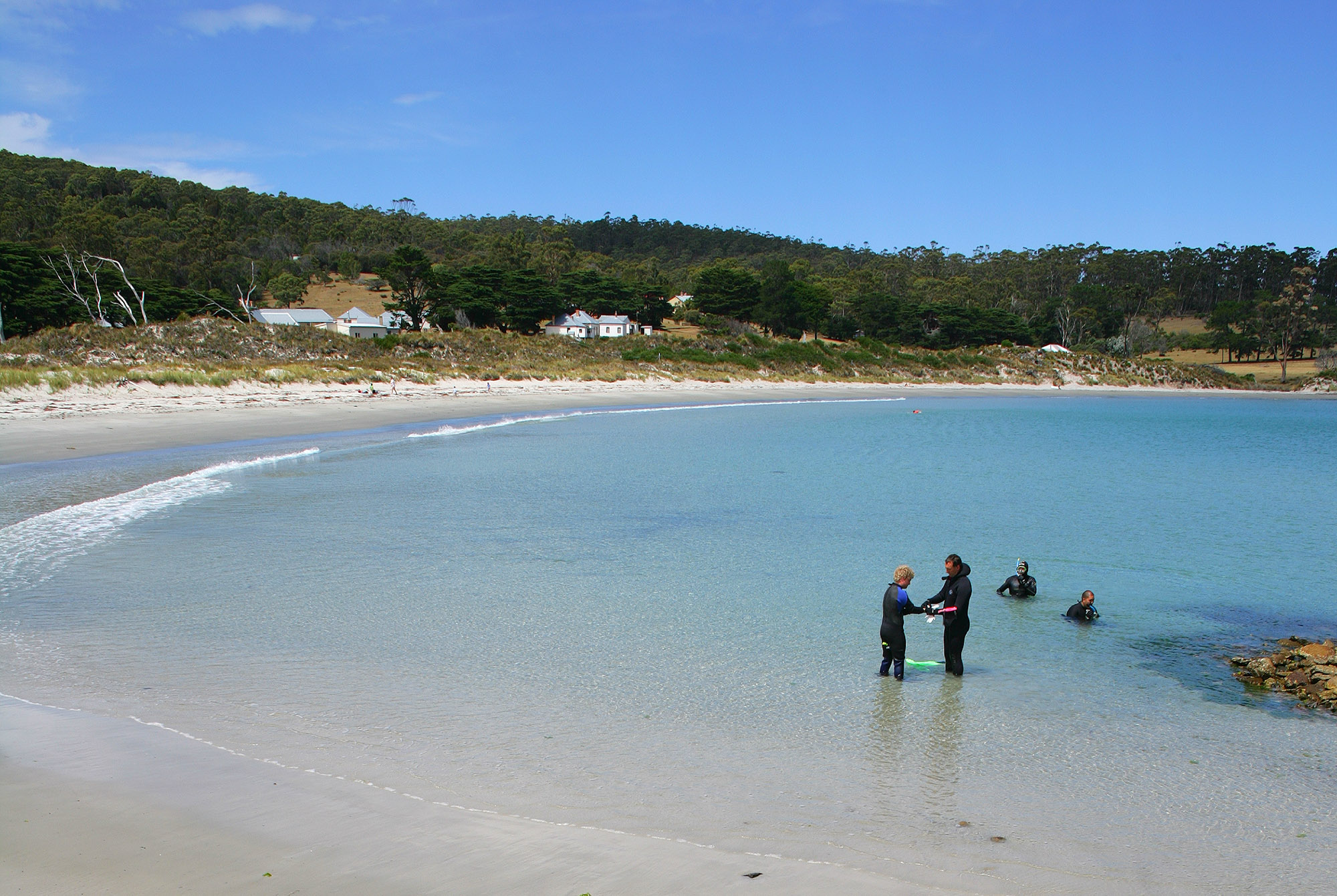 Snorkeling In Tasmania Tips For A Great Experience DesertDivers