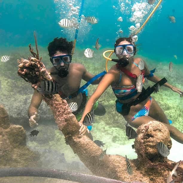 Snorkeling In Xcaret Everything You Need To Know DesertDivers