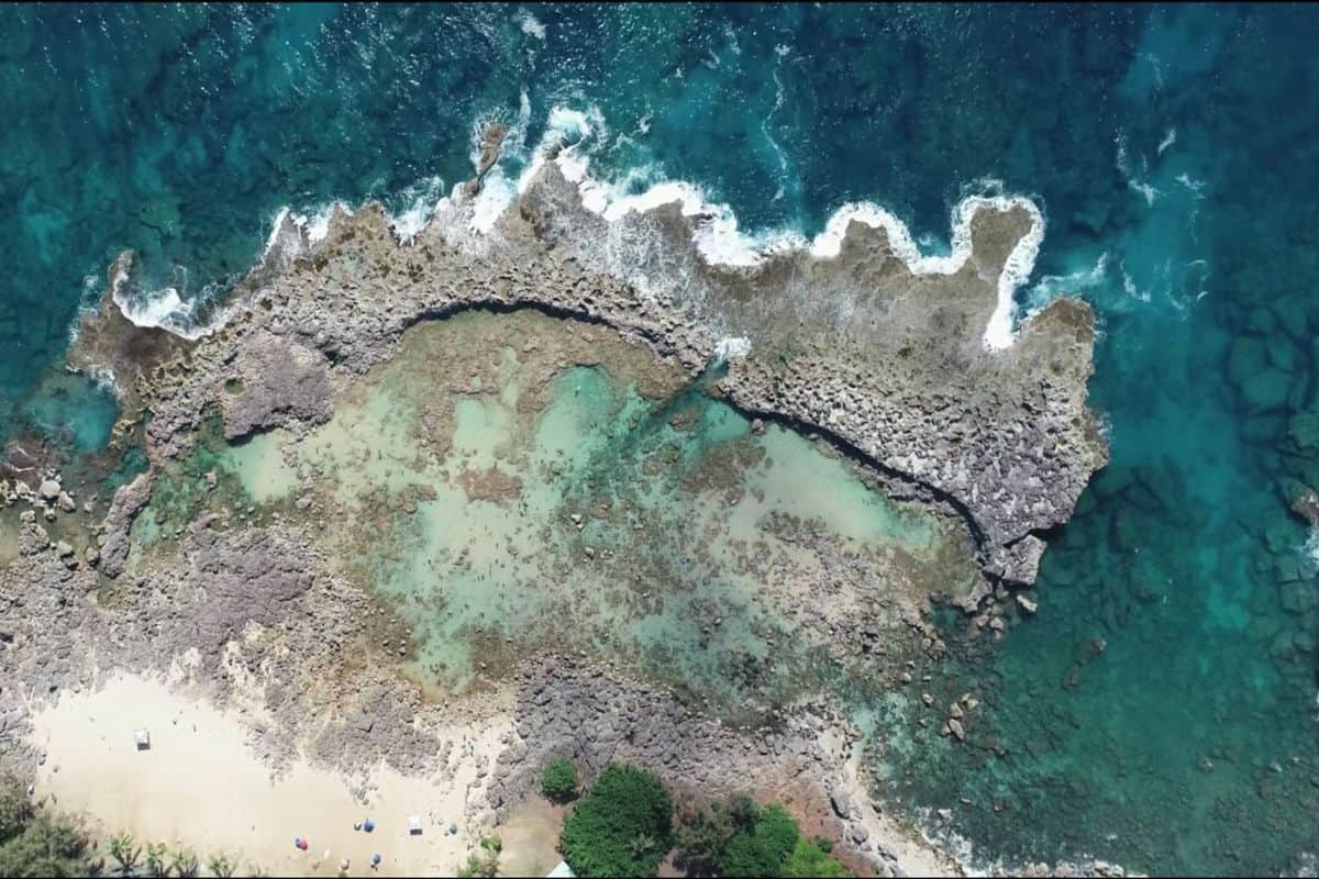 Sharks Cove The Best Place To Dive And Snorkel On Oahu DesertDivers