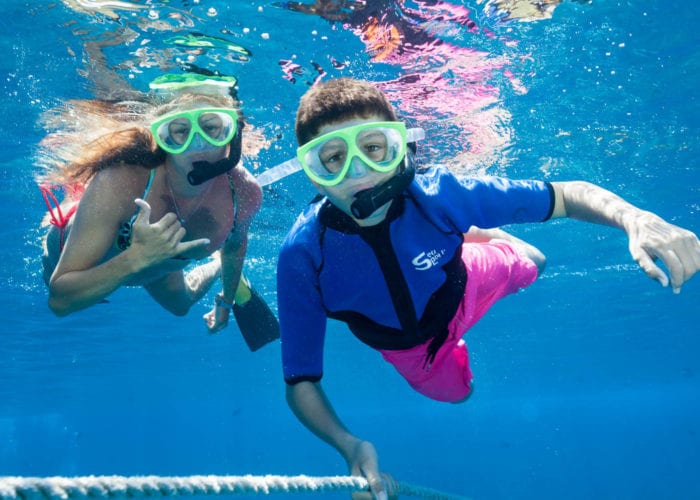 Snorkel Bob’s The Best Place For Snorkeling Gear On Maui DesertDivers