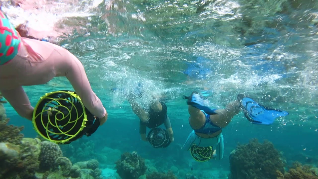 Snorkeling At Intercontinental Moorea A Great Way To See The Beauty Of
