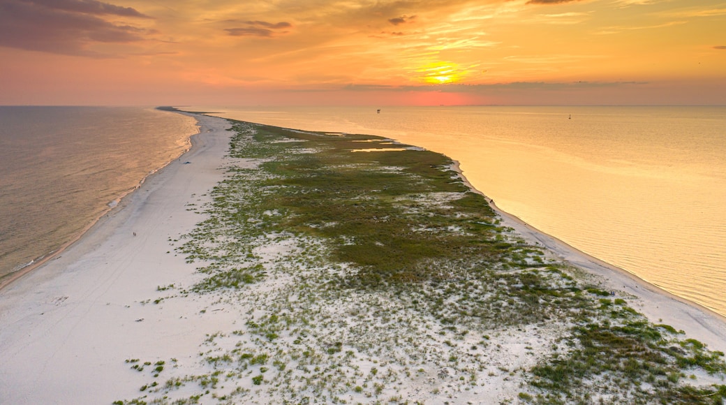 Dauphin Island The Best Place For Snorkeling DesertDivers