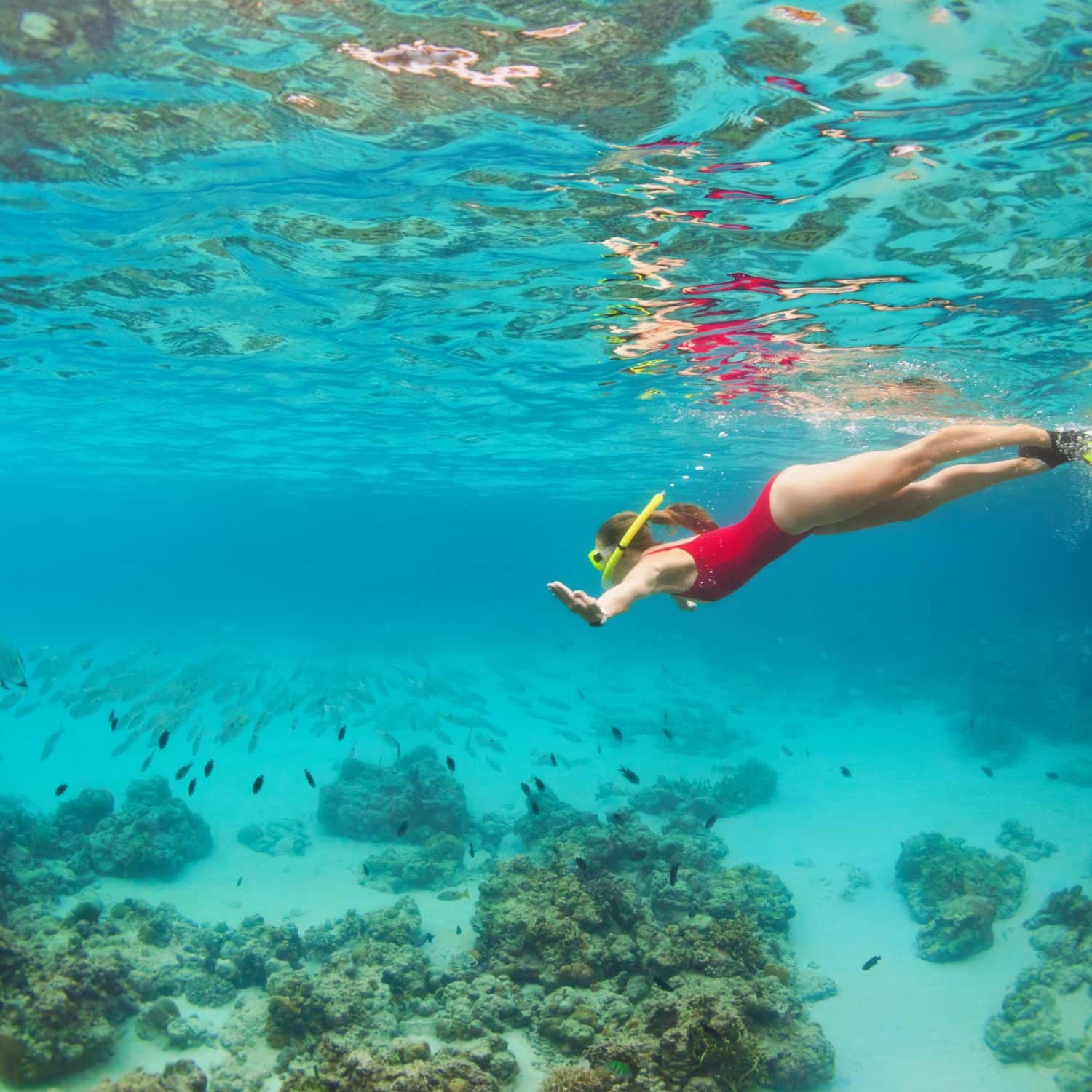 If You Love Snorkeling You’ll Want To Check Out The Bahamas DesertDivers