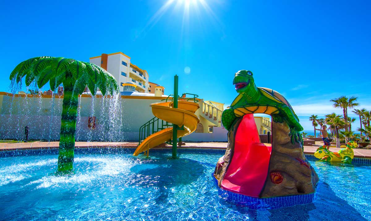 The Best Spots For Snorkeling In Rocky Point Mexico DesertDivers