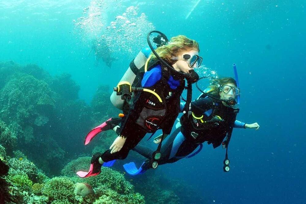 Snorkeling And Diving In Sarasota A WorldRenowned Destination