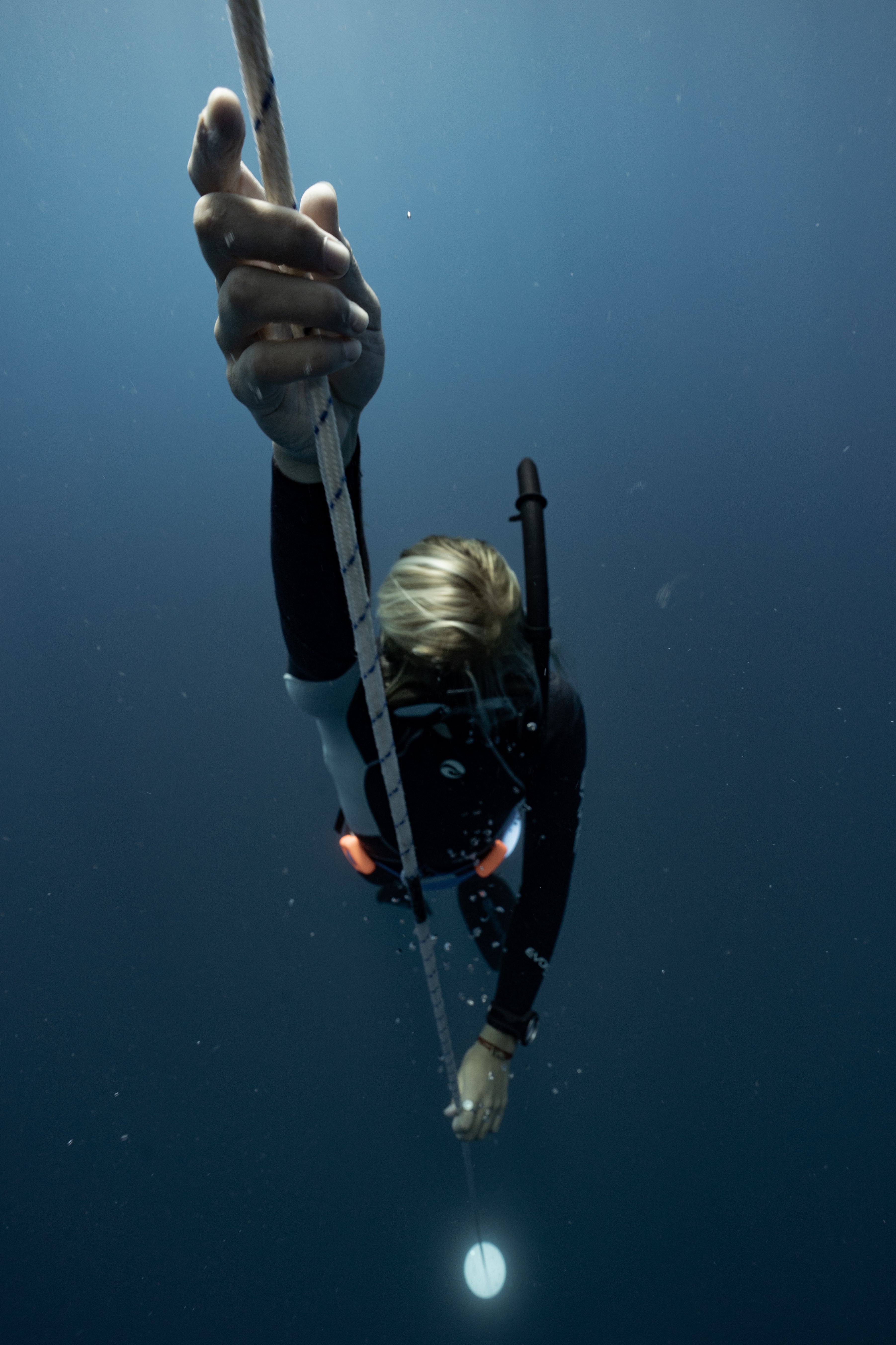 Snorkel Keepers An Essential Guide DesertDivers