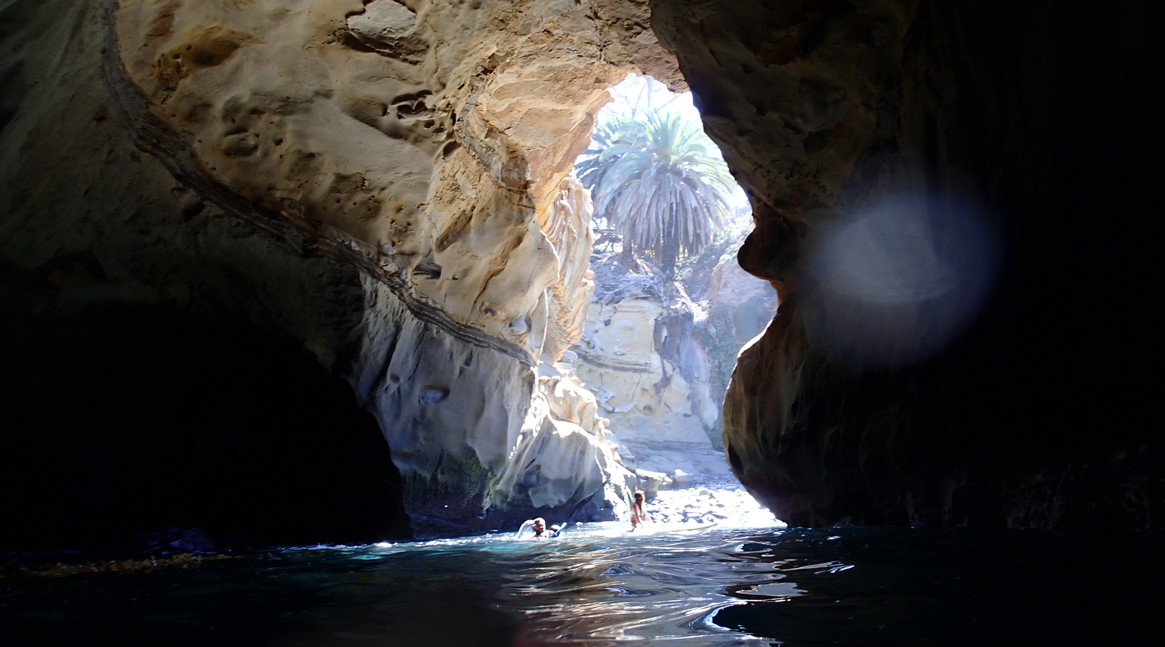 The Best Time To Snorkel In La Jolla DesertDivers