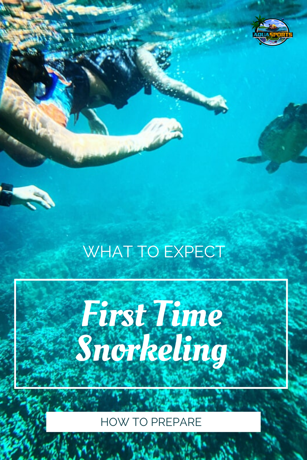 5 Skills You Need To Know Before You Go Snorkeling DesertDivers
