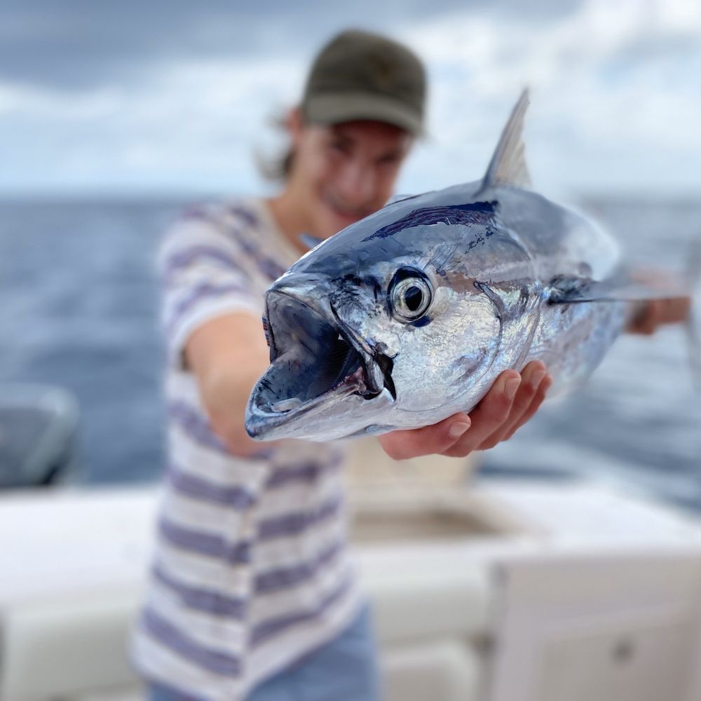 The Best Time To Snorkel In Jupiter Florida DesertDivers