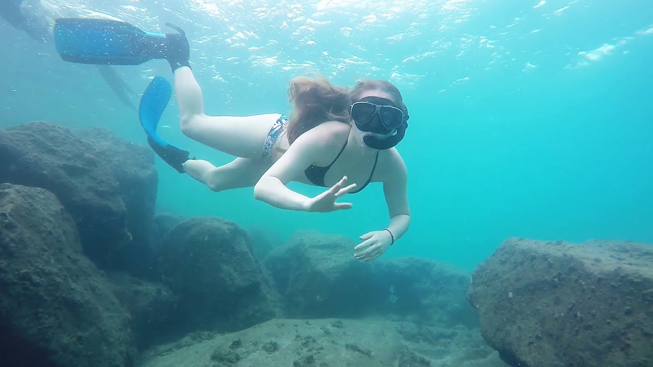 Peanut Island A Small Island With A Big Snorkeling Scene DesertDivers