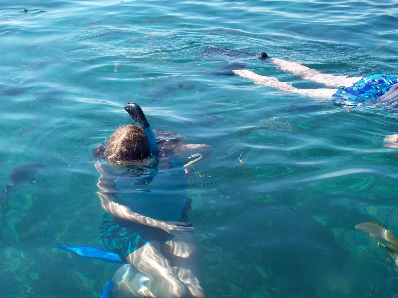 The Pirates Cove Snorkeling Marathon DesertDivers