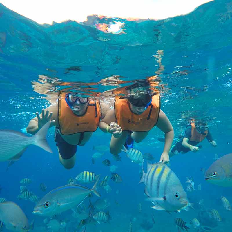 The Best Places To Beach Snorkel In Cozumel Mexico DesertDivers