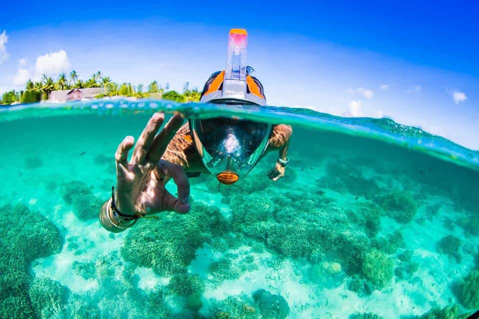 Snorkeling In La Jolla Where To Rent Snorkel Gear DesertDivers