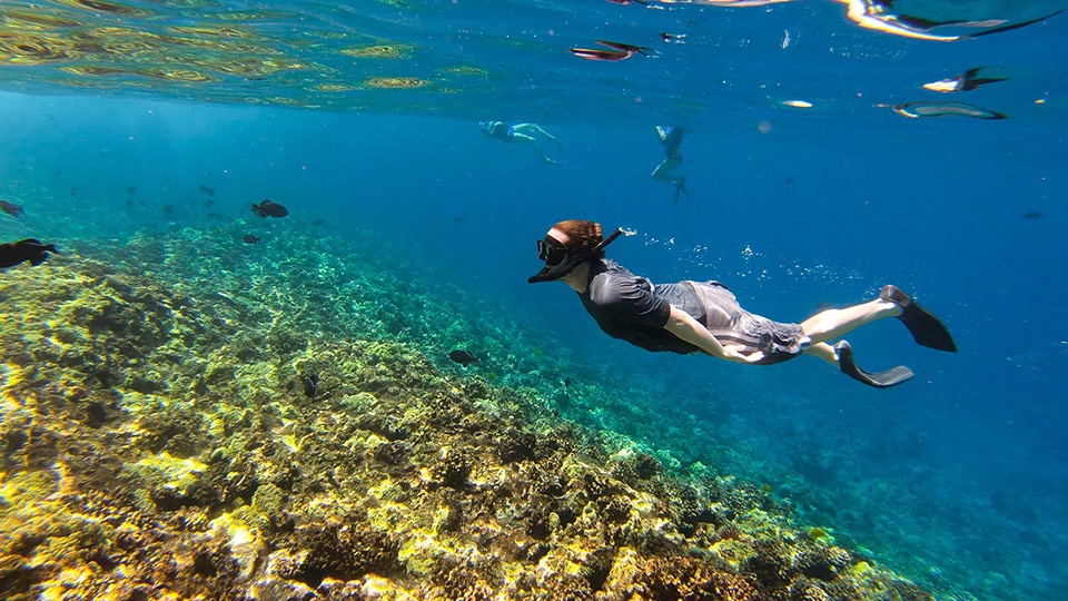 Where To Snorkel In Kihei DesertDivers