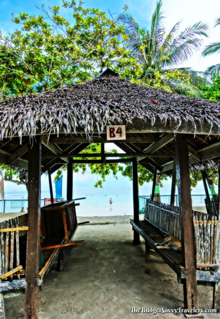 The Best Snorkeling Spots On Panglao Island DesertDivers