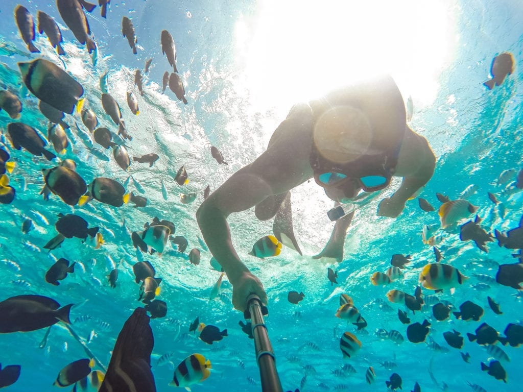 The 5 Best Places To Snorkel In Moorea DesertDivers