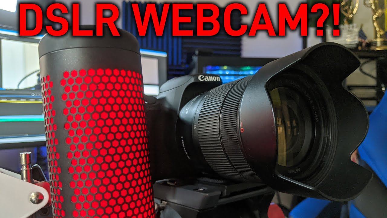 How To Choose The Right Wet Suit For Snorkeling DesertDivers