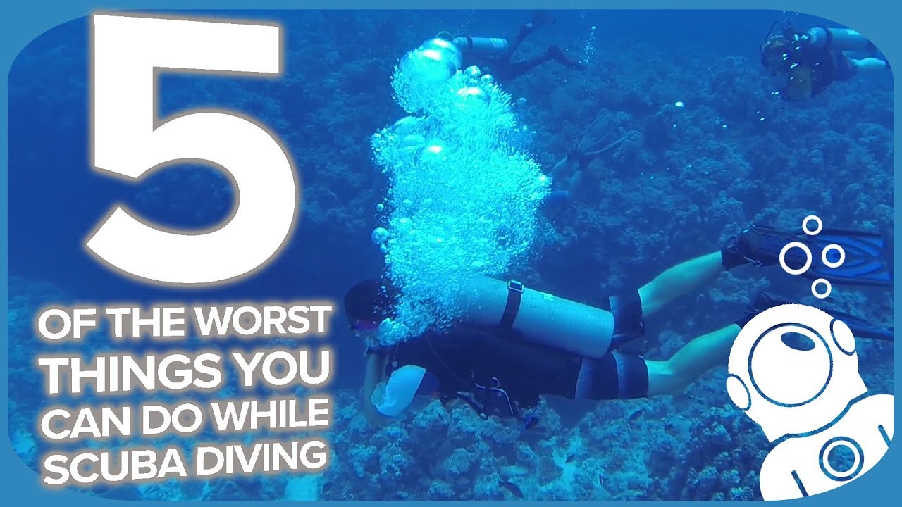 Can You Fart While Diving? The Answer May Surprise You DesertDivers