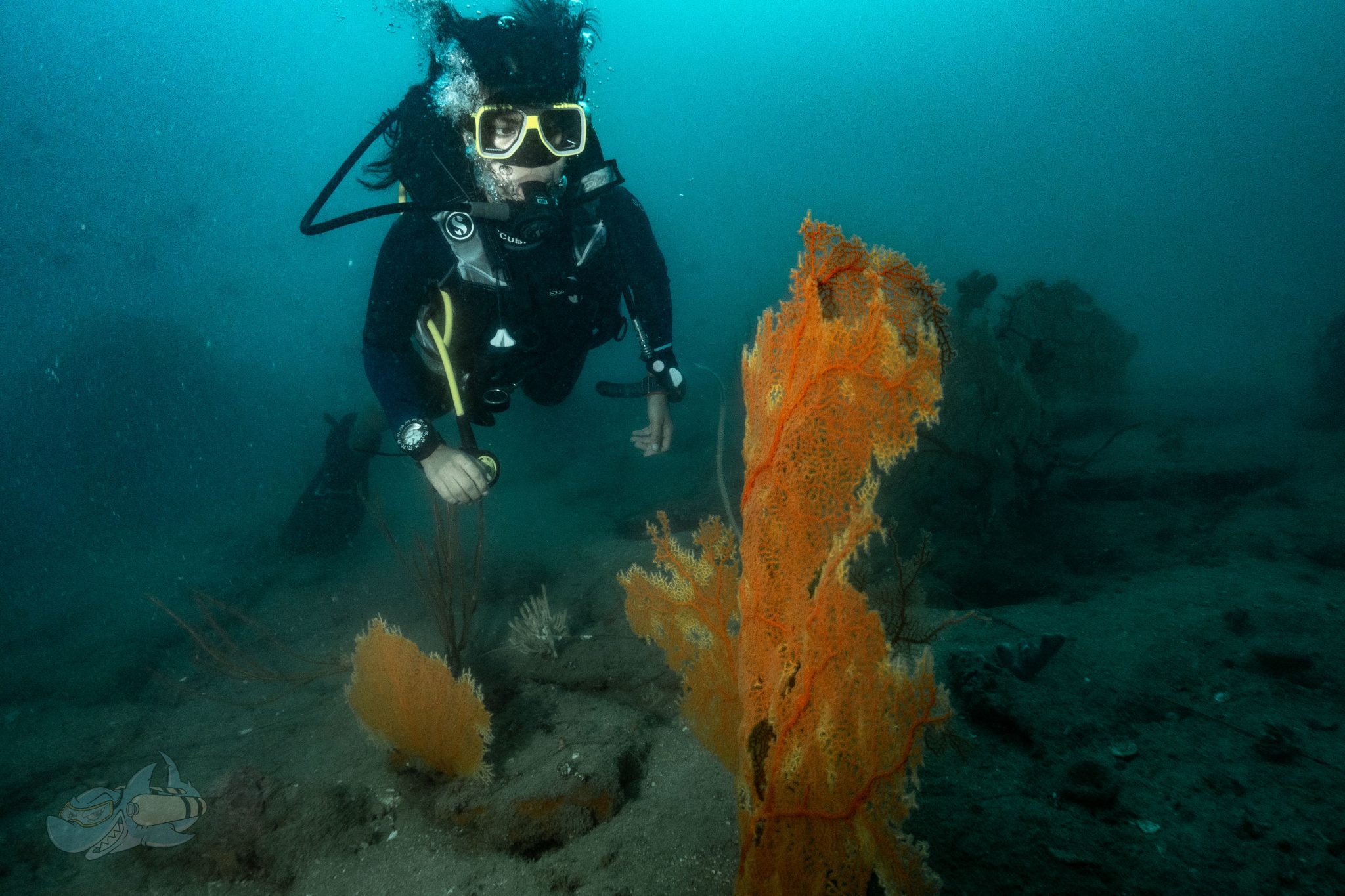 The Many Benefits Of Diving With Nitrox DesertDivers