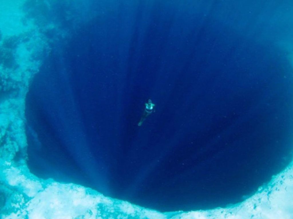 Freediving The Ultimate Guide To BreathHold Diving Techniques