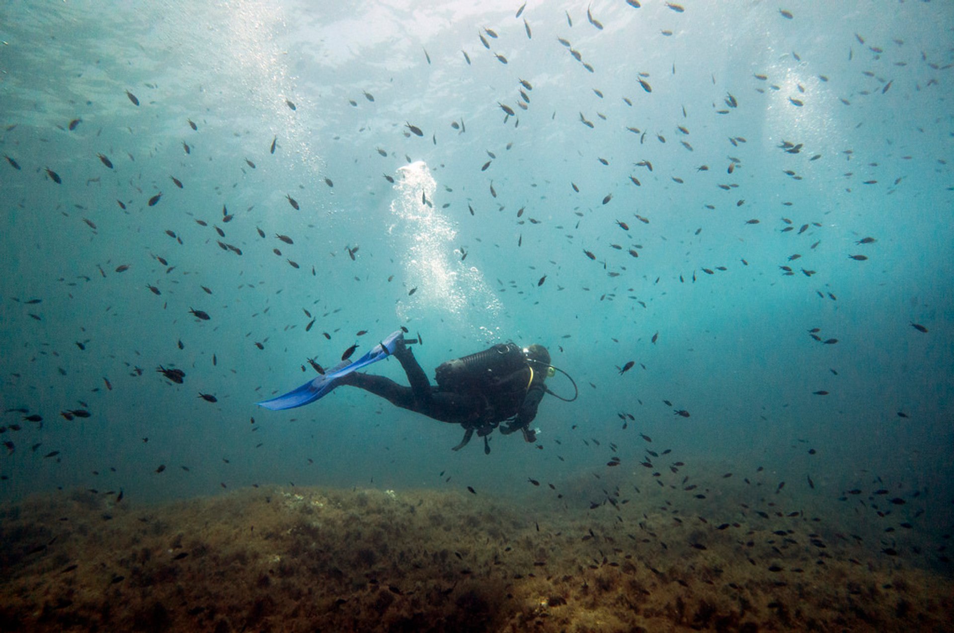 The Top 5 Dive Sites In Malta DesertDivers