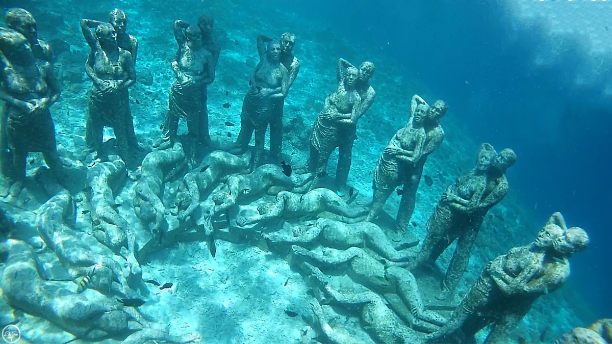 The Best Gili Island For Diving Trawangan Meno Or Air? DesertDivers