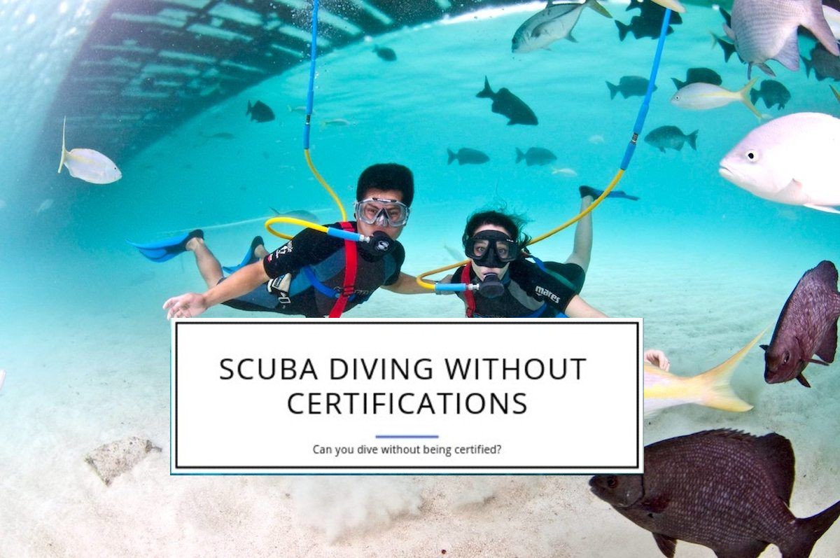 Dry Suit Diving The Pros The Cons And What You Need To Know