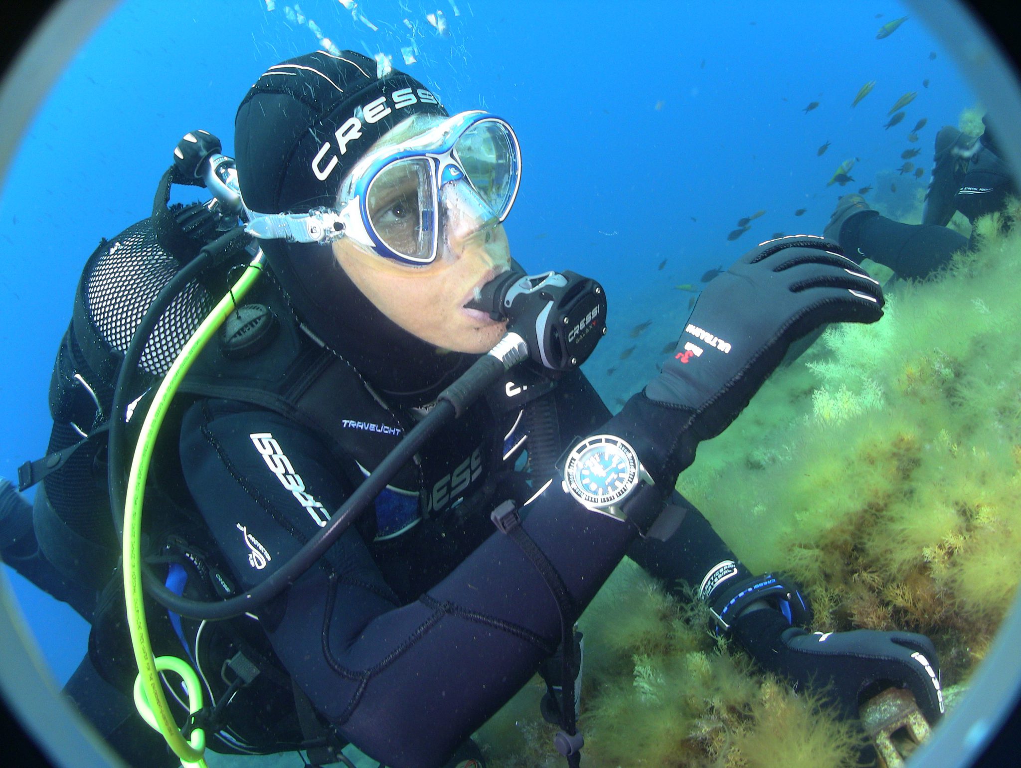 Rolex The Luxury Watch Brand With A Line Of Reliable Diving Watches