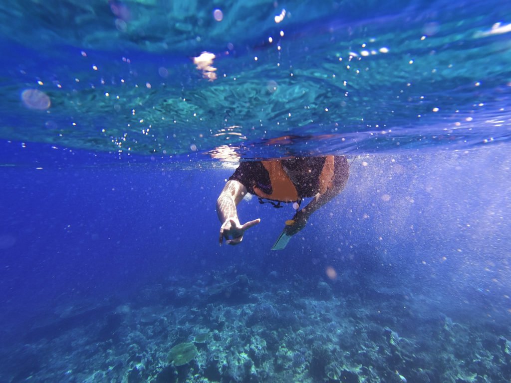 The Diving Reflex How It Helps Us Conserve Oxygen While Swimming